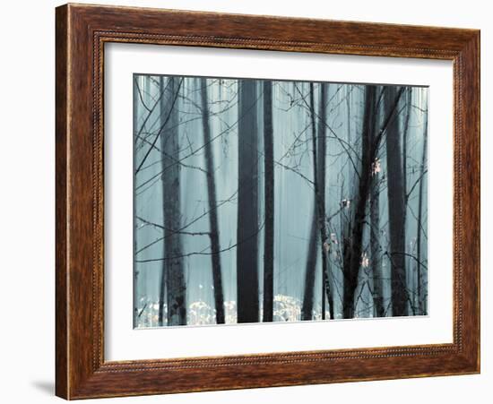 Spring Mist II-Marvin Pelkey-Framed Giclee Print