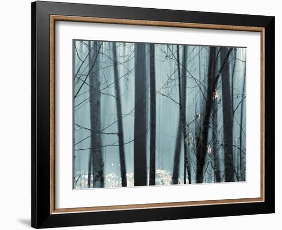 Spring Mist II-Marvin Pelkey-Framed Giclee Print