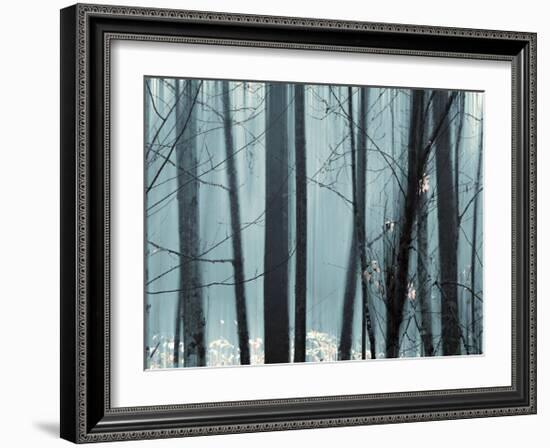 Spring Mist II-Marvin Pelkey-Framed Giclee Print