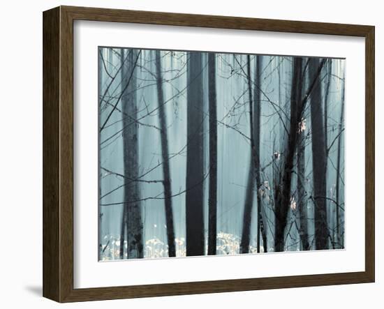 Spring Mist II-Marvin Pelkey-Framed Giclee Print