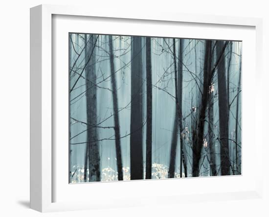 Spring Mist II-Marvin Pelkey-Framed Giclee Print