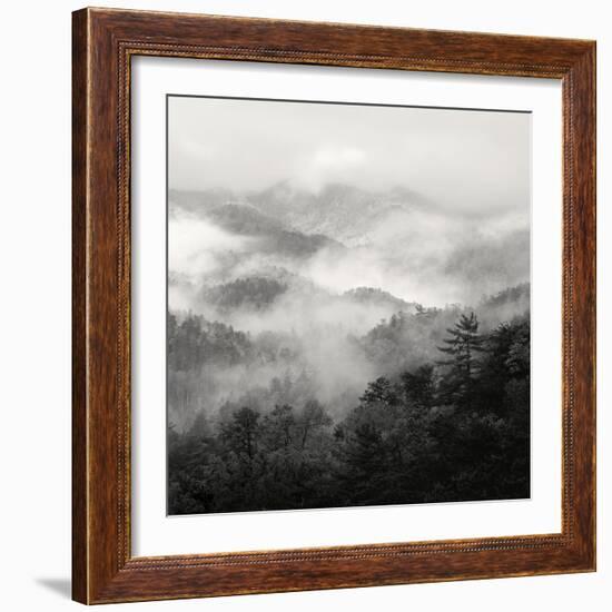 Spring Mist, Smoky Mountains-Nicholas Bell-Framed Photographic Print