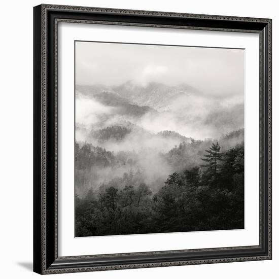 Spring Mist, Smoky Mountains-Nicholas Bell-Framed Photographic Print