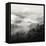 Spring Mist, Smoky Mountains-Nicholas Bell-Framed Premier Image Canvas