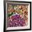 Spring Mix III-James Burghardt-Framed Art Print