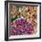 Spring Mix III-James Burghardt-Framed Art Print