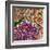 Spring Mix III-James Burghardt-Framed Art Print