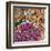 Spring Mix III-James Burghardt-Framed Art Print