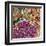 Spring Mix III-James Burghardt-Framed Art Print