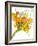 Spring Mix-Jan Weiss-Framed Art Print