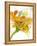 Spring Mix-Jan Weiss-Framed Stretched Canvas