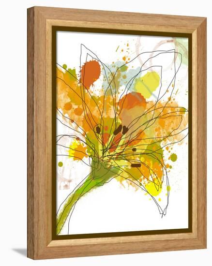 Spring Mix-Jan Weiss-Framed Stretched Canvas