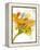 Spring Mix-Jan Weiss-Framed Stretched Canvas