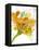 Spring Mix-Jan Weiss-Framed Stretched Canvas
