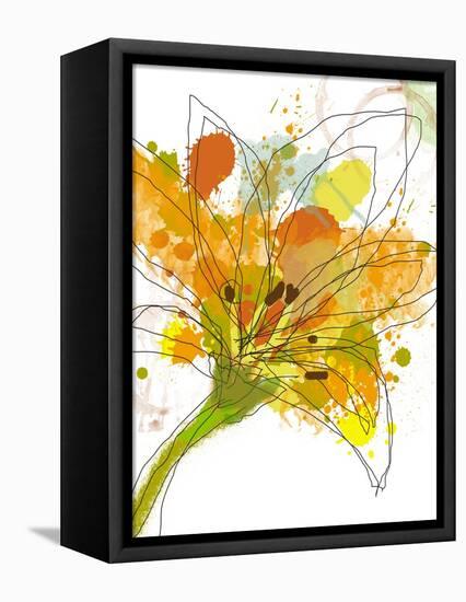 Spring Mix-Jan Weiss-Framed Stretched Canvas