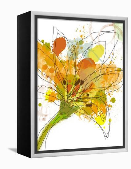 Spring Mix-Jan Weiss-Framed Stretched Canvas