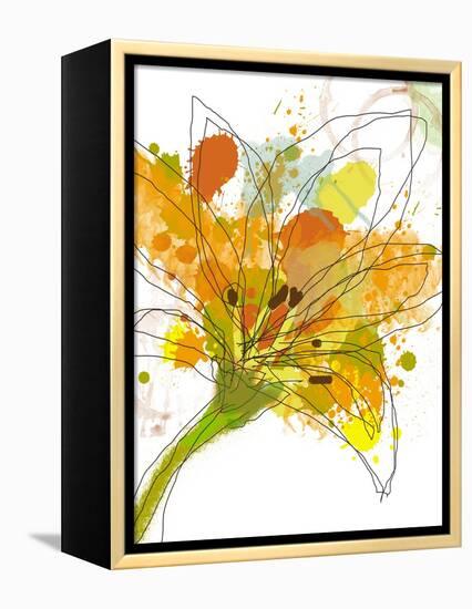 Spring Mix-Jan Weiss-Framed Stretched Canvas