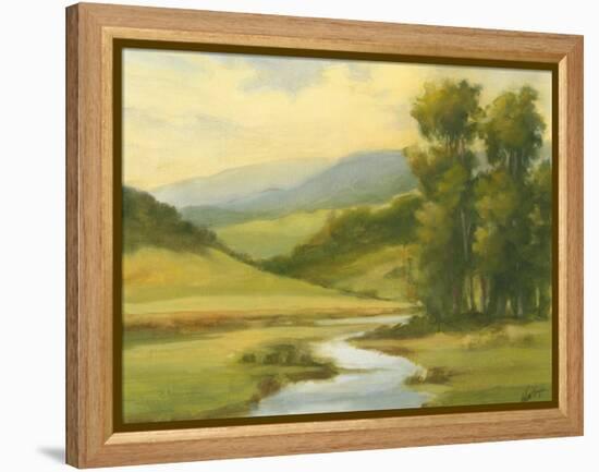 Spring Morning II-Ethan Harper-Framed Stretched Canvas