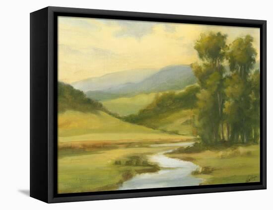 Spring Morning II-Ethan Harper-Framed Stretched Canvas