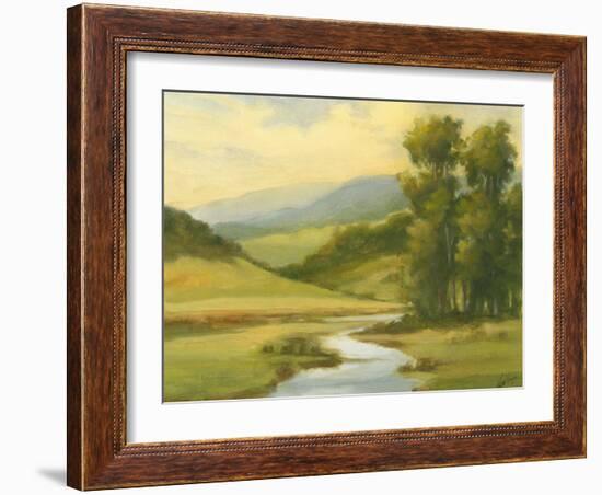 Spring Morning II-Ethan Harper-Framed Art Print