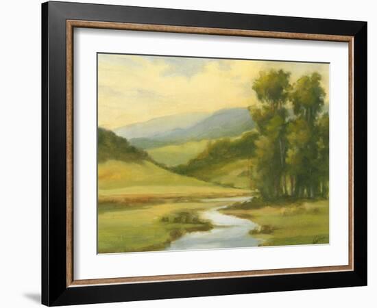 Spring Morning II-Ethan Harper-Framed Art Print