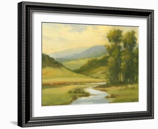 Spring Morning II-Ethan Harper-Framed Art Print