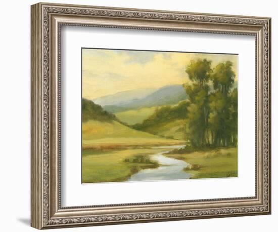 Spring Morning II-Ethan Harper-Framed Art Print