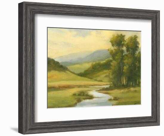 Spring Morning II-Ethan Harper-Framed Art Print