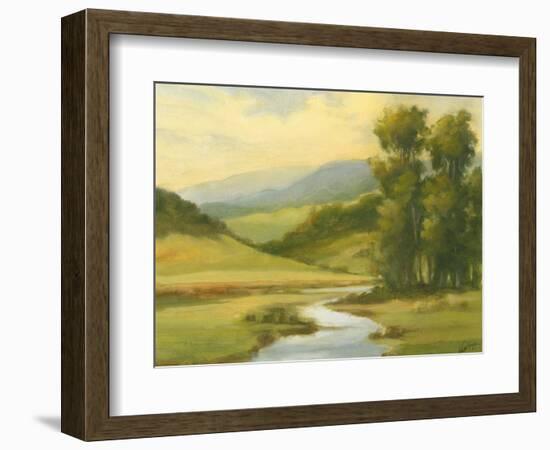 Spring Morning II-Ethan Harper-Framed Art Print