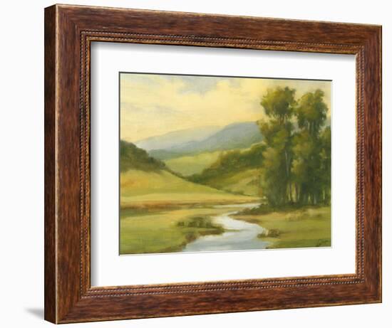 Spring Morning II-Ethan Harper-Framed Art Print