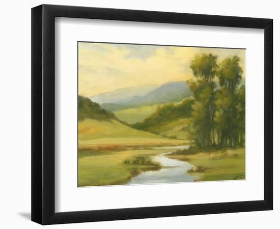 Spring Morning II-Ethan Harper-Framed Art Print