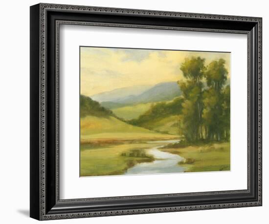 Spring Morning II-Ethan Harper-Framed Art Print