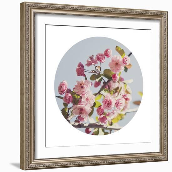 Spring Morning - Sphere-Irene Suchocki-Framed Giclee Print