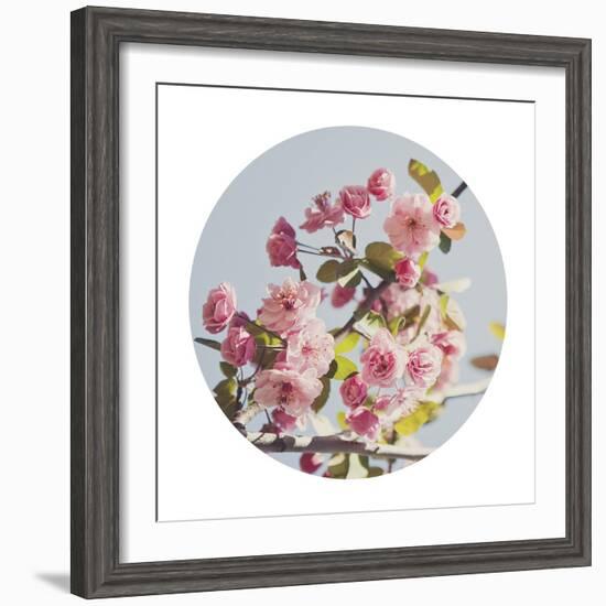 Spring Morning - Sphere-Irene Suchocki-Framed Giclee Print