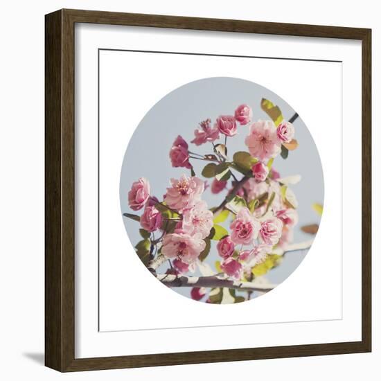 Spring Morning - Sphere-Irene Suchocki-Framed Giclee Print