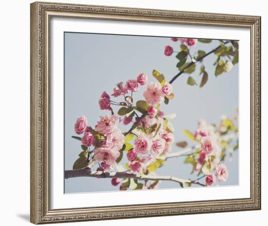 Spring Morning-Irene Suchocki-Framed Giclee Print