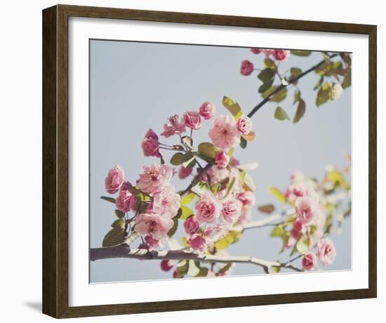 Spring Morning-Irene Suchocki-Framed Giclee Print