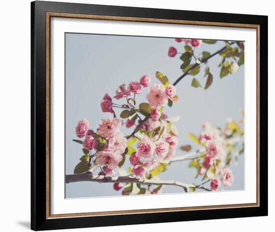 Spring Morning-Irene Suchocki-Framed Giclee Print