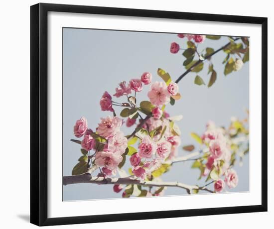 Spring Morning-Irene Suchocki-Framed Giclee Print