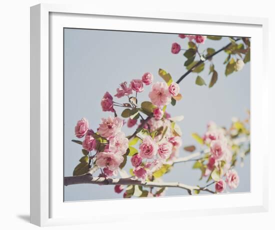 Spring Morning-Irene Suchocki-Framed Giclee Print