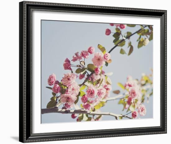 Spring Morning-Irene Suchocki-Framed Giclee Print