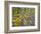 Spring Moss in Great Smoky Mountains-Gary W. Carter-Framed Photographic Print