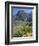 Spring Mountains, 15 Miles West of Las Vegas in the Mojave Desert, Nevada, USA-Fraser Hall-Framed Photographic Print