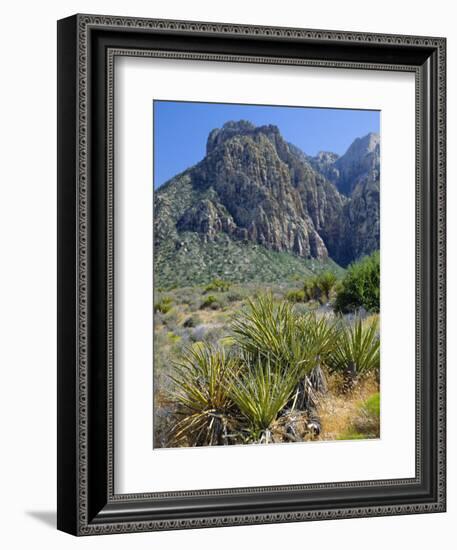 Spring Mountains, 15 Miles West of Las Vegas in the Mojave Desert, Nevada, USA-Fraser Hall-Framed Photographic Print