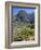 Spring Mountains, 15 Miles West of Las Vegas in the Mojave Desert, Nevada, USA-Fraser Hall-Framed Photographic Print