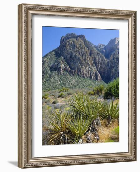 Spring Mountains, 15 Miles West of Las Vegas in the Mojave Desert, Nevada, USA-Fraser Hall-Framed Photographic Print