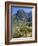 Spring Mountains, 15 Miles West of Las Vegas in the Mojave Desert, Nevada, USA-Fraser Hall-Framed Photographic Print