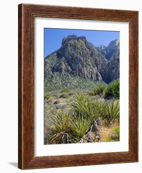 Spring Mountains, 15 Miles West of Las Vegas in the Mojave Desert, Nevada, USA-Fraser Hall-Framed Photographic Print