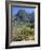Spring Mountains, 15 Miles West of Las Vegas in the Mojave Desert, Nevada, USA-Fraser Hall-Framed Photographic Print