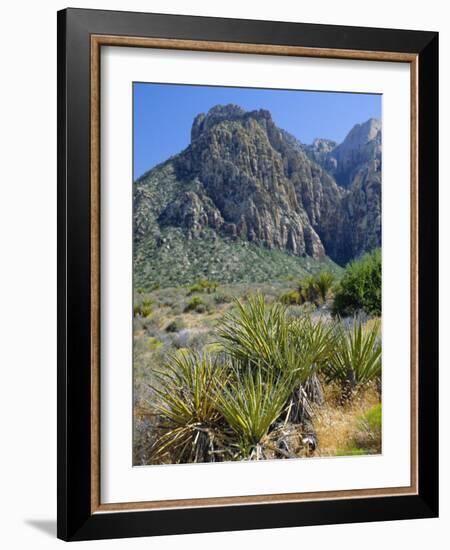 Spring Mountains, 15 Miles West of Las Vegas in the Mojave Desert, Nevada, USA-Fraser Hall-Framed Photographic Print